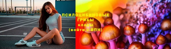 дживик Балахна