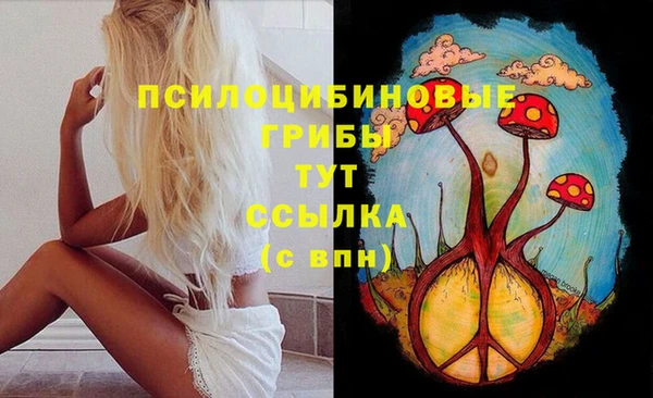 дживик Балахна