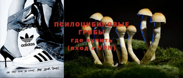 бошки Баксан