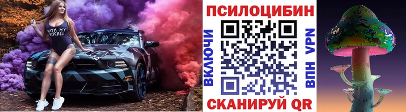 наркотики  Вязьма  Галлюциногенные грибы Cubensis 